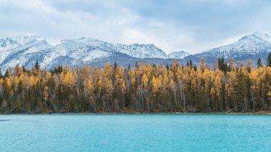 Kanas Xinjiang Çin 'de Mavi Kış Dağı manzarası