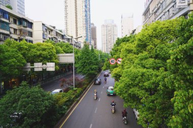 Guiyang City 'deki Şehir Yeşilliği ve Modern Sokak Sahnesi