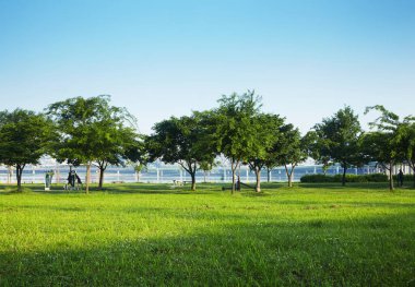 Nehir Kenarı Yeşilliği ile Hangang Nehri Parkı