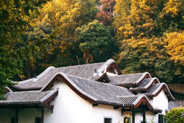 Changsha 'daki Yuelu Dağı' nda sonbahar manzarası