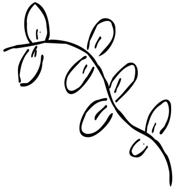 Sonbaharda düşen yaprakların yansıması.