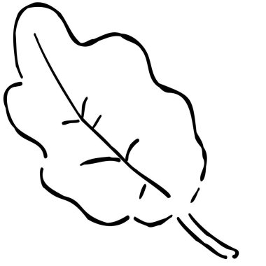 Sonbaharda düşen yaprakların yansıması.