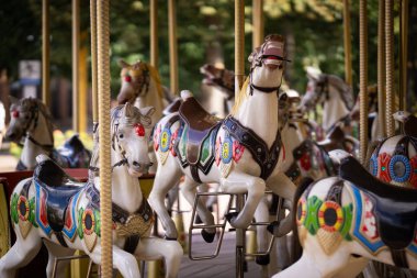 Parkta bir çocuk eğlencesi, güneşli bir günde atlıkarınca, insan yok..
