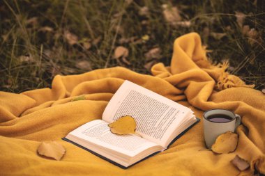 Sonbahar doğal atmosferik arka plan, bir kitap ve ekose üzerinde bir fincan çay..