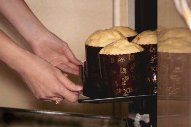 Geleneksel Ukrayna Paskalya Kulich 'i, hamur mayası kağıt fomların içinde fırına konur..