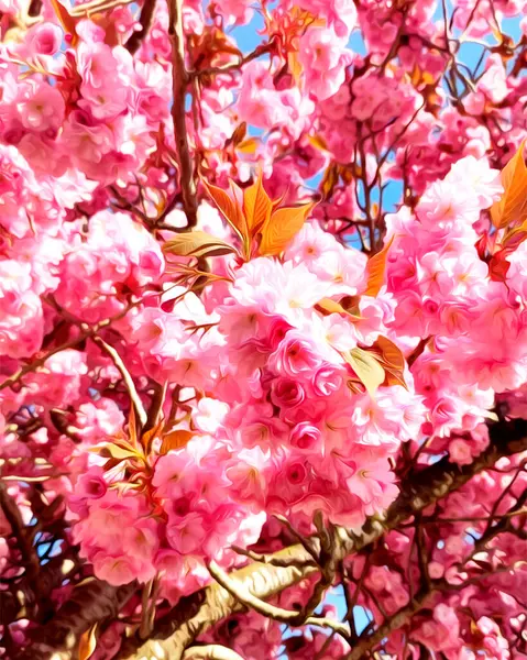 Doğal çiçek arkaplanı, yağlı boyayla sanatsal efekt ile çiçek açan sakura..
