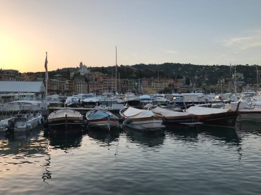 İtalya 'nın Portofino limanında tekneler