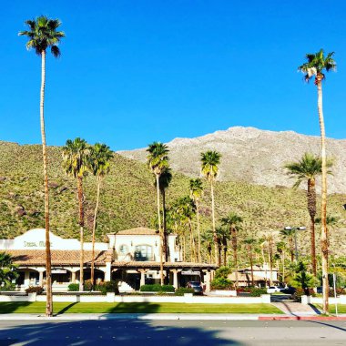 Palm Springs California 'daki palmiye ağaçları ve çölsel tepeler