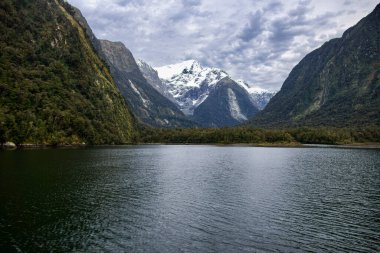 Harrison Cove 'un Yeni Zelanda' daki Milford Sound 'da Pembroke Buzulu' nun arka planda görüntüsü. Yüksek kalite fotoğraf