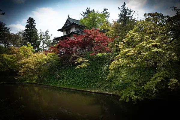 stock image During a recent cruise we saw Hirosaki Castle in Japan from the rear 2024. DSC08156High quality photo