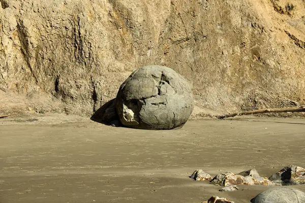 stock image Moeraki Boulder on Hampden Beach in Otago New Zealand. These unique boulders are volcanic and hollow and over time the sea and the weather erode them until they disappear