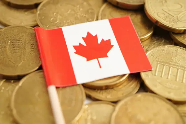 Para, finans ve bankacılık üzerine Kanada bayrağı.