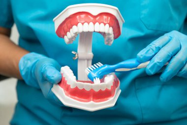 Hasta için diş fırçası kullanan ve diş hekimliği okuyan Asyalı bir diş hekimi..