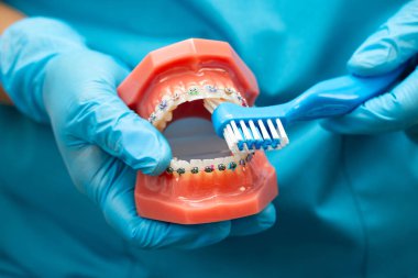 Hasta için diş fırçası kullanan ve diş hekimliği okuyan Asyalı bir diş hekimi..