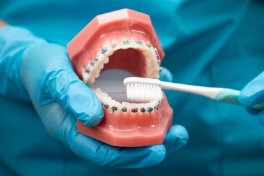 Hasta için diş fırçası kullanan ve diş hekimliği okuyan Asyalı bir diş hekimi..