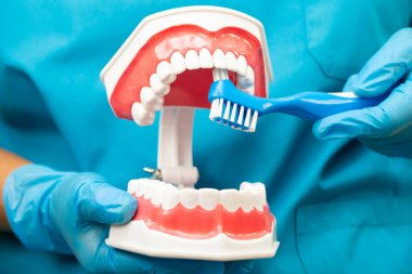 Hasta için diş fırçası kullanan ve diş hekimliği okuyan Asyalı bir diş hekimi..