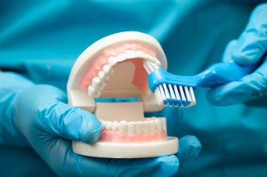 Hasta için diş fırçası kullanan ve diş hekimliği okuyan Asyalı bir diş hekimi..