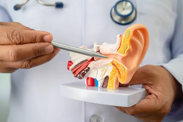 Kulak insan modeli olan Asyalı doktor hastada işitme kaybını öğrenip tedavi edecek.