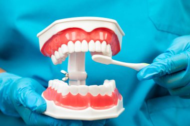 Hasta için diş fırçası kullanan ve diş hekimliği okuyan Asyalı bir diş hekimi..