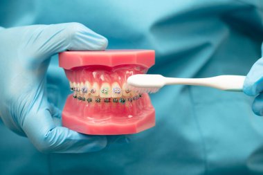 Diş hekimliği hakkında bilgi edinmek için Asyalı diş hekimi elinde tutuyor.