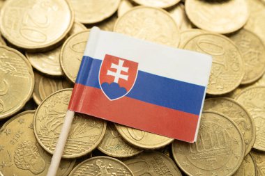 Slovakia flag on coins background, finance and accounting, banking concept. clipart