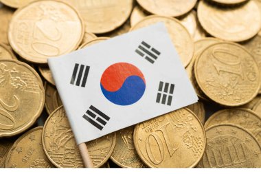 Para ve banknot üzerinde Kore bayrağı, finans ticareti yatırım ticari para birimi kavramı.