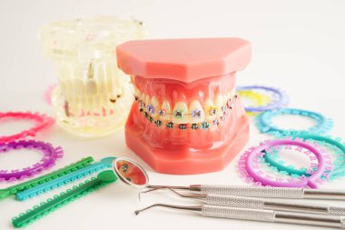 Ortodontik bağlar halkalar ve kravatlar, diş hekimliği üzerine çalışan dişçi için model..