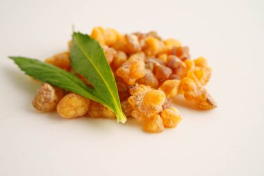 Tütsü veya olibanum aromatik reçine tütsü ve parfümlerde kullanılır..