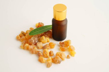 Tütsü veya olibanum aromatik reçine tütsü ve parfümlerde kullanılır..