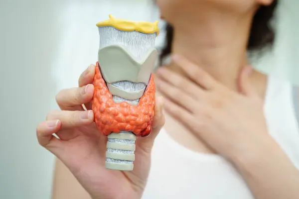 Hipertiroidizm, aşırı aktif tiroid, tiroid lenfoma, tiroid bezi insan anatomisi olan Asyalı kadın..