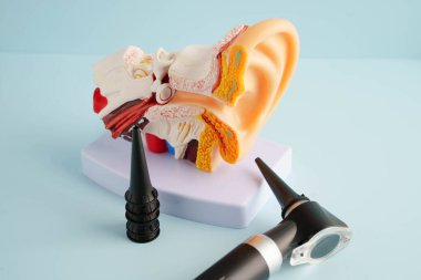 Otoskop, otolargolog ya da ENT doktoru için kulak modeli. Yaşlı hasta kulağını muayene ediyor, işitme sorunu var..