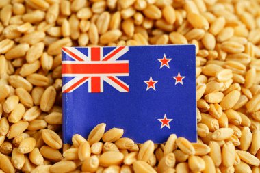 Tahıl buğdayı, ticaret ihracatı ve ekonomi konseptine Yeni Zelanda bayrağı.