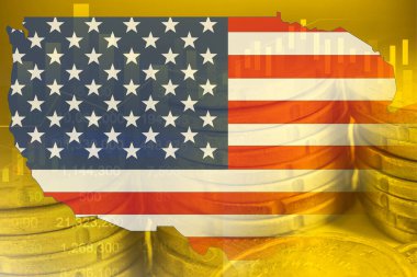 ABD bayrağı ve haritası ile hisse senedi yatırımları madeni para ve grafik ticareti.