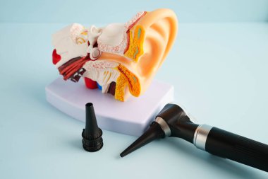 Otoskop, otolargolog ya da ENT doktoru için kulak modeli. Yaşlı hasta kulağını muayene ediyor, işitme sorunu var..