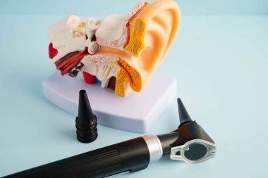 Otoskop, otolargolog ya da ENT doktoru için kulak modeli. Yaşlı hasta kulağını muayene ediyor, işitme sorunu var..