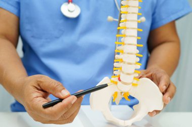 Omurga ve kemik modeli taşıyan Asyalı doktor, ortopedi bölümünde tedavi için bel kemiği yerinden oynamış disk parçası..