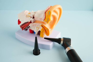 Otoskop, otolargolog ya da ENT doktoru için kulak modeli. Yaşlı hasta kulağını muayene ediyor, işitme sorunu var..