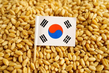 Güney Kore buğday, ticaret ihracat ve ekonomi konsepti üzerine bayrak.