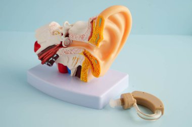 Otoskop, otolargolog ya da ENT doktoru için kulak modeli. Yaşlı hasta kulağını muayene ediyor, işitme sorunu var..