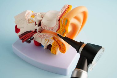 Otoskop, otolargolog ya da ENT doktoru için kulak modeli. Yaşlı hasta kulağını muayene ediyor, işitme sorunu var..