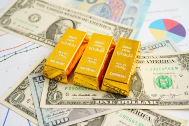 ABD doları ve Euro banknotu parasıyla altın külçeleri yatırım ticareti para birimi kavramını finanse ediyor.