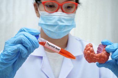 Doktor tiroid bezi modeli ve kan örneği tüpünü laboratuarda tutuyor..
