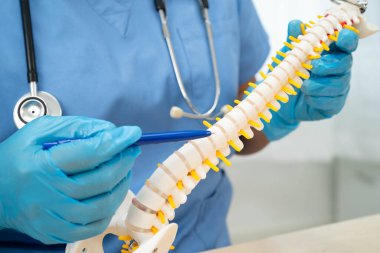 Omurga ve kemik modeli taşıyan Asyalı doktor, ortopedi bölümünde tedavi için bel kemiği yerinden oynamış disk parçası..