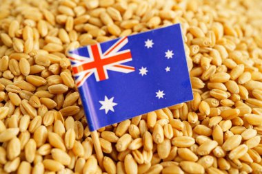 Avustralya buğday, ticaret ihracatı ve ekonomi konseptine bayrak dikti.