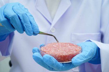 Bilim laboratuvarında gıda geliştirme için petri kabını etle tutan bilim adamı..