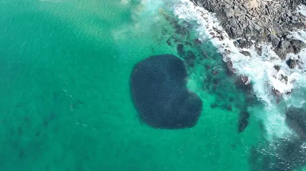 Dramatik Balık Okulu Kapanışı