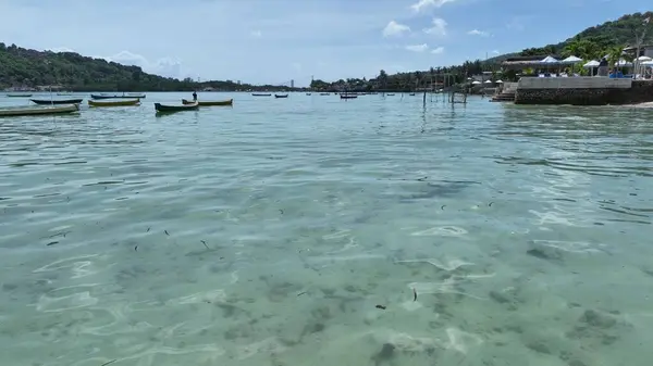 Endonezya Cenningan Boğazı Tropik Su