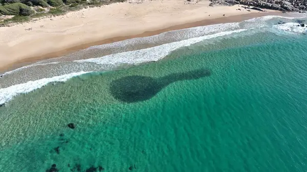 Dramatik Balık Okulu Kapanışı