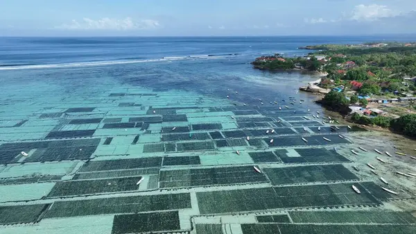 Endonezya Cenningan Boğazı Tropik Su