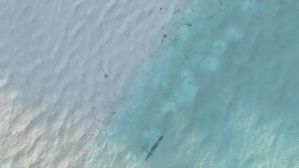 Deniz tabanında bir vatozun yakın çekim görüntüsü.